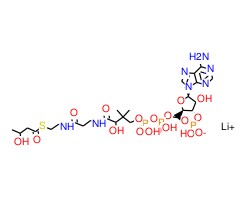 DL-β-羟基丁酰基辅酶A锂盐图片