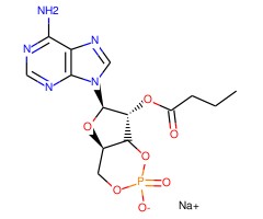 2'-O-MB-cAMP (sodium)图片