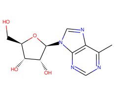 6-甲基嘌呤核糖图片