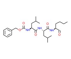gamma-分泌酶 抑制剂 I图片