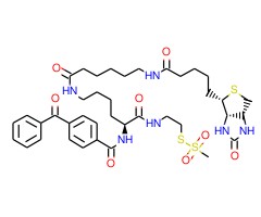 2-[Na-苯甲酰基苯甲酸酰胺-N6-(6-生物素酰胺基)-L-赖氨酸酰胺]乙基甲硫磺酸盐图片