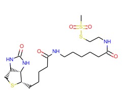 N-生物素己酰氨基乙基甲硫代磺酸盐图片