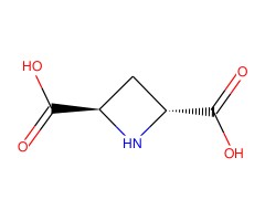 (2S,4S)-氮杂环丁烷-2,4-二羧酸图片