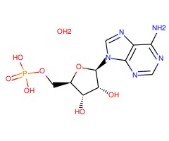 腺苷-5'-单磷酸一水合物图片