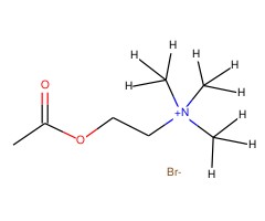 溴化乙酰胆碱 D9图片