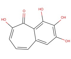 红陪酚图片