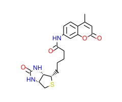 N-d-生物素-7-氨基-4-甲基香豆素图片