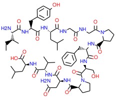 C-肽国家标准品图片