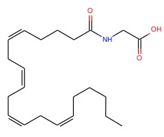 花生四烯酸甘氨酸图片