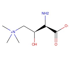 (R)-氨基肉碱图片