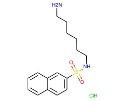 N-(6-氨基己基)萘-2-磺酰胺盐酸盐图片