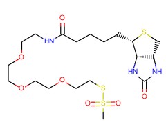 1-生物素氨基-3,6,9-三氧十一烷-11-基甲硫基磺酸盐图片