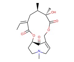 克氏千里光碱图片