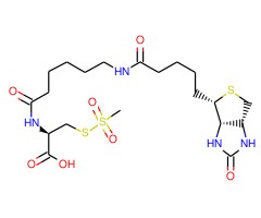 N-[6-(生物甲酰胺基)己酰基]-(R)-2-氨基-2-羧乙基甲硫磺酸酯图片