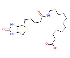 N-生物素十二烷基酸图片