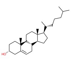 表胆固醇图片