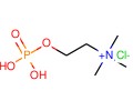 磷酰胆碱;磷酸胆碱;氯磷胆碱;乙磷酸铵;胆碱磷酸酯图片