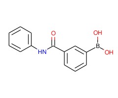 3-苯氨羰基苯硼酸图片