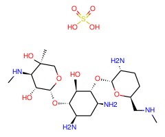 硫酸小诺霉素图片