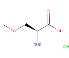 O-甲基-L-丝氨酸盐酸盐图片