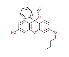 N-丁基荧光素图片