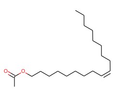 乙酸油烯基酯图片