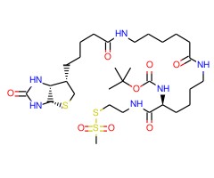 N2-t-Boc-N6-(生物素氨基-6-N-己酰氨基)赖氨酰氨基乙烷甲硫代磺酸盐图片