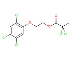 抑草蓬图片
