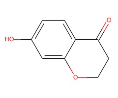 7-羟基色满-4-酮图片
