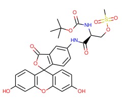 5-(2-((叔丁氧基羰基)氨基)-3-((甲基磺酰基)硫基)丙酰胺基)-2-(6-羟基-3-氧代-3H-呫吨-9-基)苯甲酸图片