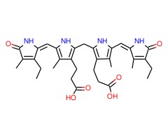 中胆红素图片