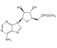 单磷酸阿糖腺苷图片