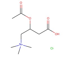 （±） - 乙酰肉碱氯化物图片