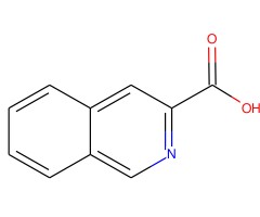 异喹啉-3-甲酸图片