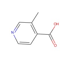 3-甲基异烟酸图片