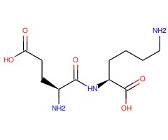 L-α-谷氨酰-L-赖氨酸图片