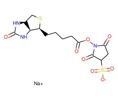 磺基-NHS-生物素钠盐图片