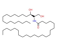 c22-二氢神经酰胺图片