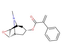 东茛菪碱图片