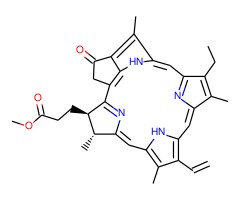焦脱镁叶绿酸甲酯图片