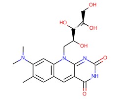 玫瑰黄色素图片