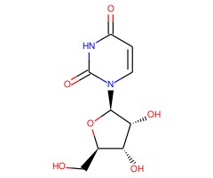 尿苷-13C,15N2图片