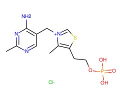 维生素B1单磷酸盐氯化物图片