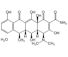 强力霉素一水物图片