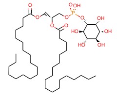 磷脂酰肌醇图片