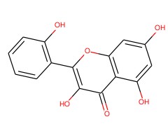 橡精图片