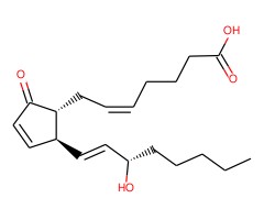 前列腺素A2图片
