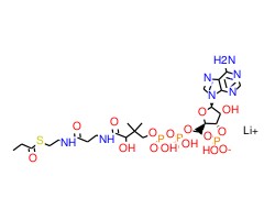 正丙酰辅酶A锂盐图片