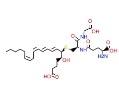 LTC4（白三烯C4）图片