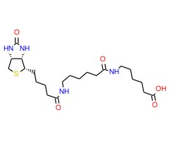 N-生物素基己酰氨基己酸图片